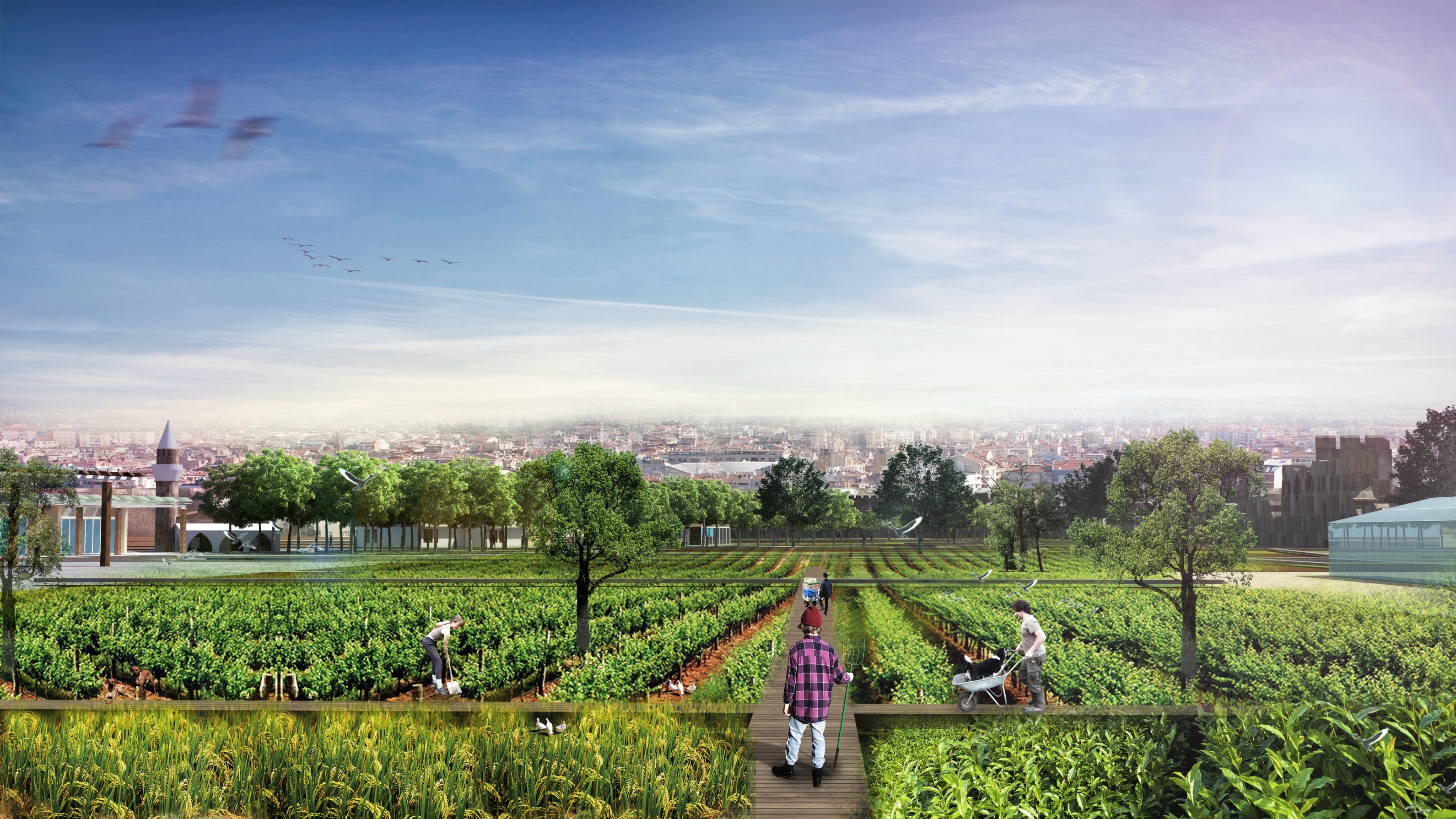 İBB'den tarihi Osmanlı Bostanları projesi! Yedikule Bostanları bakın ne olacak