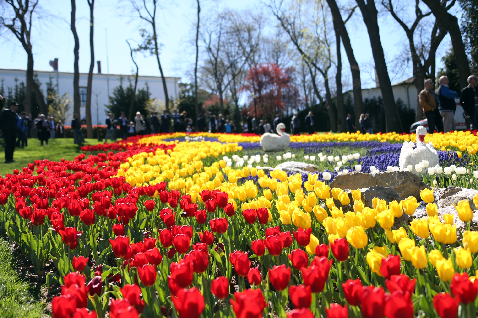 13. İstanbul Lale Festivali başladı! Açılış yapıldı...