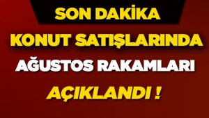Türkiye Genelinde Ağustos'ta 114 Bin 751 konut satıldı
