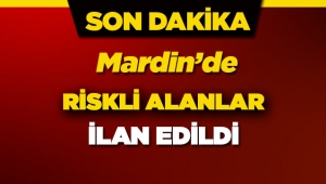 Mardin Yeşilli ilçesine bağlı bazı semtler riskli alan ilan edildi
