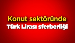 Konut sektöründen ev satışlarında TL seferberliği