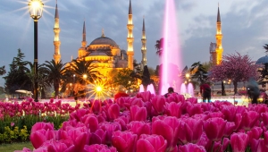 2017 İstanbul Lale Festivali başladı en güzel laleler nerede?