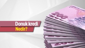 "Donuk kredi" nedir?