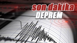 İzmir Körfezi'nde 4.6 büyüklüğünde korkutan deprem -  Son depremler