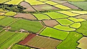 `Tarım arazileri` için flaş karar! Kullanıcısına satılabilecek...