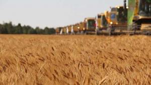 Yerli üretime yıllık 100 TL'ye Hazine arazisi desteği! Nereye başvurulacak, nasıl kiralanacak?