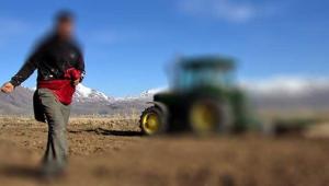 Yerli tohum için yeni yönetmelik