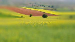 90 Bin başvuru yapıldı... 19 Kasım'da sona erecek!