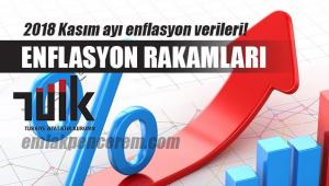 Ekim ayı enflasyon rakamları - 5 Kasım 2018 (TEFE-TÜFE) enflasyon son durum