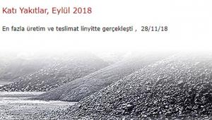 Katı yakıtlarda linyit lider