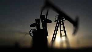 2 yeni petrol arama alanı için ruhsat başvurusu