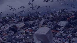 Türkiye gümrük bölgesine girecek Atıkların İthalat Denetimi Tebliğine 2019 düzenlemesi