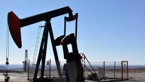 Türkiye Petrollerine Adana'da 8 yıllık petrol arama izni