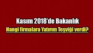 2018 Kasım ayında yatırım teşviki verilen firma listesi açıklandı