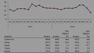 Ciro endeksi Kasım'da yüzde 15.4 oranında arttı