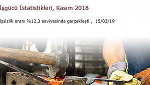 2018 Kasım'da işsizlik yüzde 12.3 oldu
