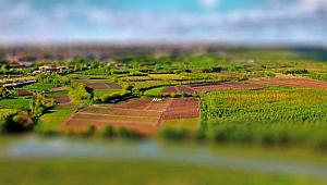 2019 Arazi toplulaştırma ile alakalı yönetmelikte düzenleme