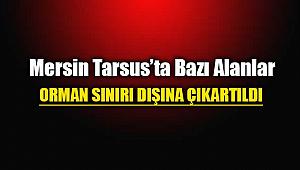 Mersin Tarsus'ta bazı alanlar orman sınırları dışına çıkartıldı