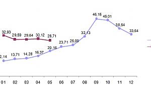 Yurt İçi Üretici Fiyat Endeksi  yüzde 28,71 arttı