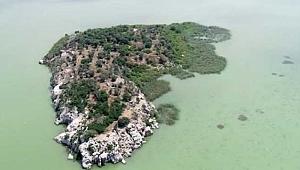 17 Milyona sahibinden satılık 45 dönüm büyüklüğünde dededen kalma ada! Nerede mi?