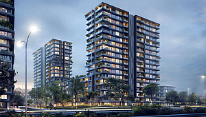 Nef'ten Toplam 368 Milyon TL Tahvil Ödemesi