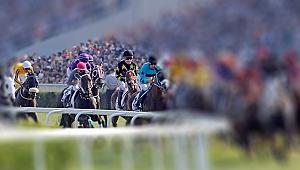 At yarışlar ve bahisleri Varlık Fonuna geçiyor