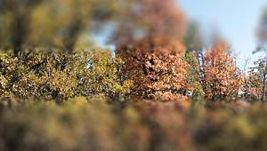 Isparta, Eğridir'de bazı alanlar Kesin Korunacak Hassas Alan Olarak ilan edildi