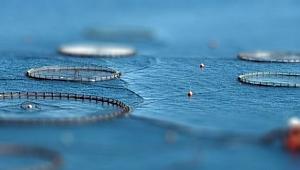 Su ürünleri ruhsat tezkereleri ve izinleri için yeni kanun