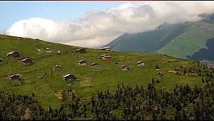 Trabzon Barma Yaylası Turbalığı kesin korunacak hassas alan ilan edildi