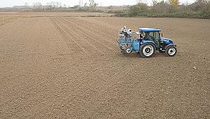 Yerli Buğday Toprakla Buluşacak