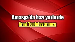 Amasya'da arazi toplulaştırması yapılacak