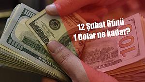 1 Dolar kaç TL, ne kadar? 12 Şubat Dolar kuru, Döviz fiyatları