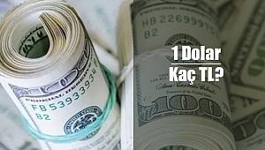 Dolar fiyatı 17.02.2020 ne kadar, kaç TL? Güncel döviz kurları...