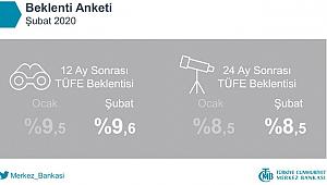 Merkez Bankası Şubat 2020 Beklenti Anketi Sonuçları
