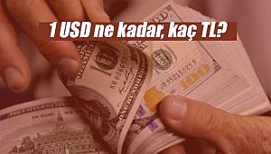 Yeni ayın ilk iş günü 3 Şubat, 1 dolar ne kadar, kaç TL?