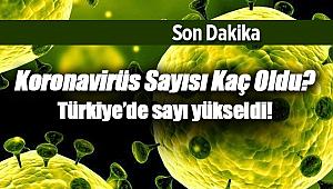 Son Dakika: Türkiye'de Koronavirüs vaka sayısı 5 oldu! Hepsi birbiriyle bağlantılı...