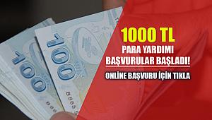 Hane başına 1000 TL başvurusu yapacaklar dikkat! TC kimlik numaranızın...
