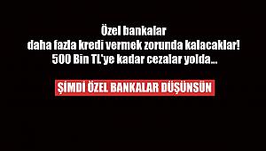 Özel bankalar daha fazla kredi vermek zorunda kalacaklar! 500 Bin TL'ye kadar cezalar yolda...