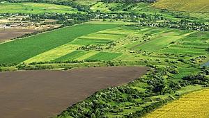 Son Dakika: Atıl Hazine arazileri tarıma açılıyor!