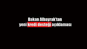 Bakan Albayrak'tan yeni kredi desteği açıklaması