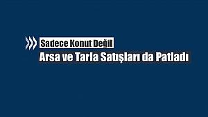 Konut dışında tarla ve arsa satışları da patladı