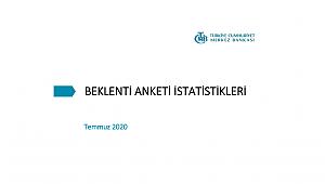 Merkez Bankası Temmuz 2020 Beklenti Anketi
