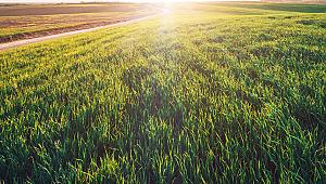 Tarım-GFE yıllık %6,62, aylık %0,61 arttı