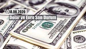 1 Dolar bu sabah kaç TL? 18.08.2020