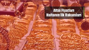 Altın bugün ne kadar oldu, kaç TL? Altın yorumları...