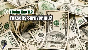 Dolar bugün 11 Ağustos 2020 ne kadar, kaç TL?