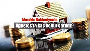 Ağustos ayında kaç konut satıldı? İşte son konut satış rakamları...