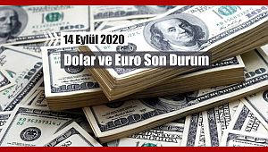 Dolar fiyatları yeni haftaya nasıl başladı? 14.9.2020 Döviz kurları...