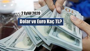 Enflasyon öncesi dolar bugün ne kadar? 2.9.2020 Euro ve Dolar ilk fiyat ve yorumlar