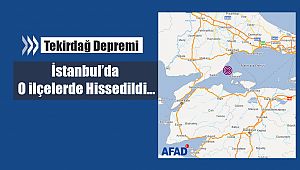 İstanbul'da gece yarısı deprem paniği! Sabaha kadar devam etti, Tekirdağ depremi İstanbul'da hissedildi...
